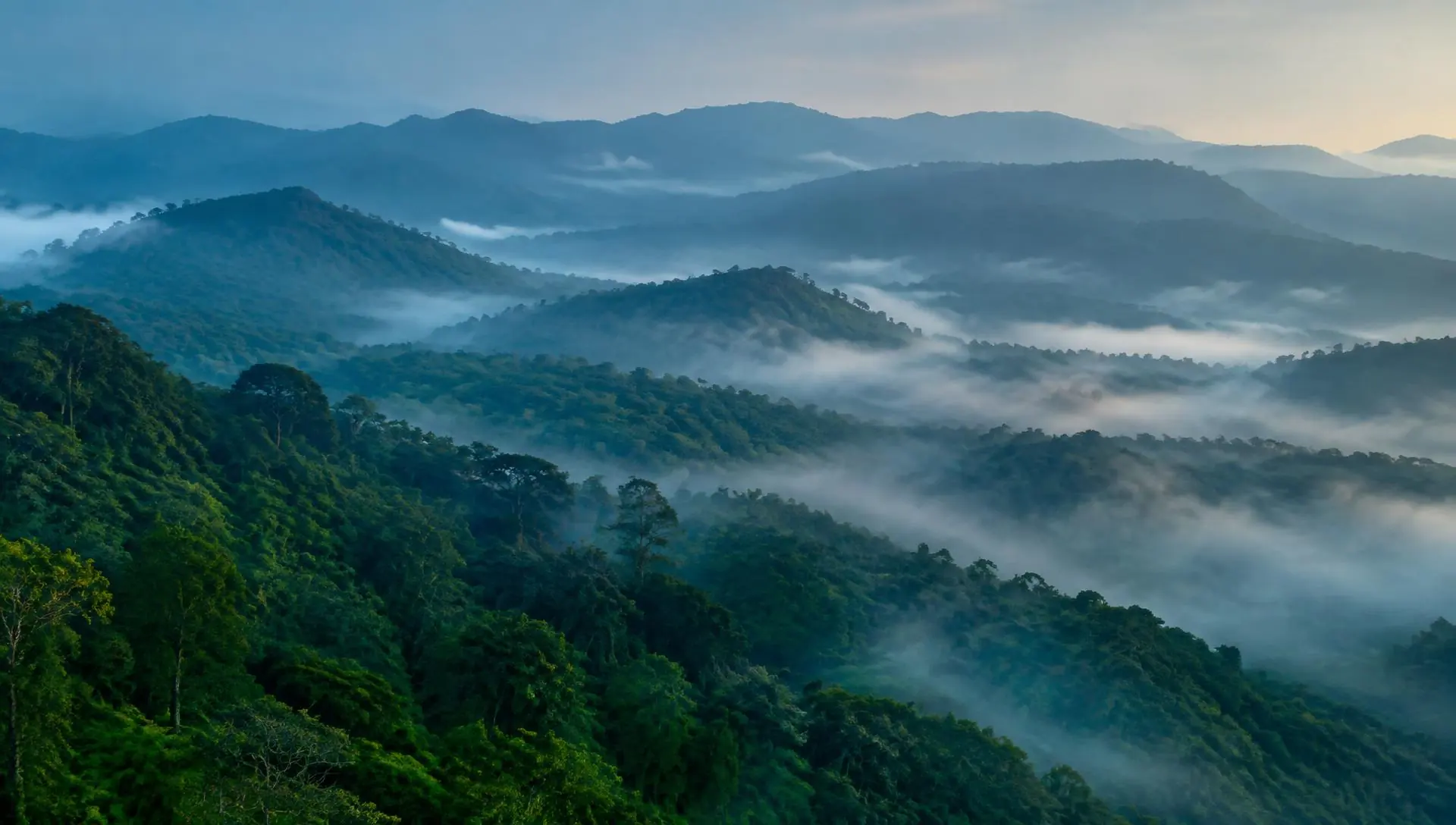 Mist drifting across layered forest ridges at first light