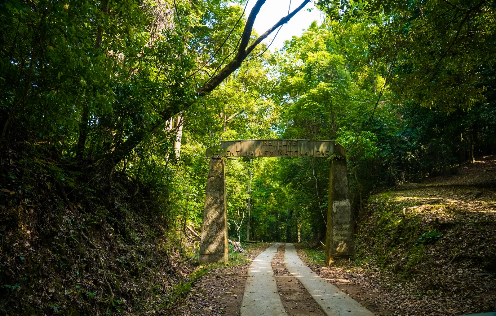 An old stone archway over a quiet forest road dappled with green light