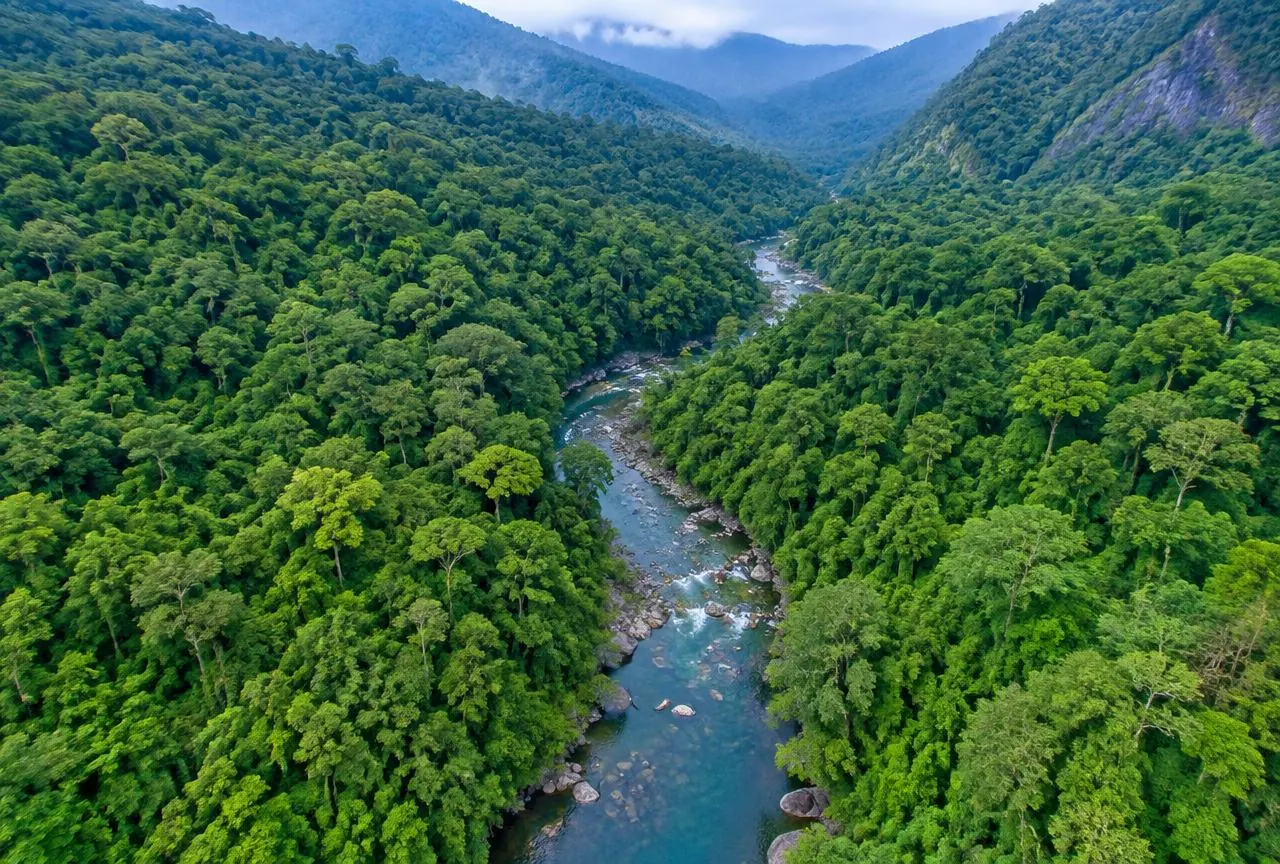 Dense evergreen canopy with a river threading through Silent Valley